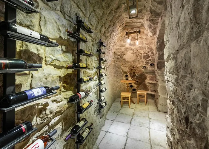 Konavoski Miri Villa